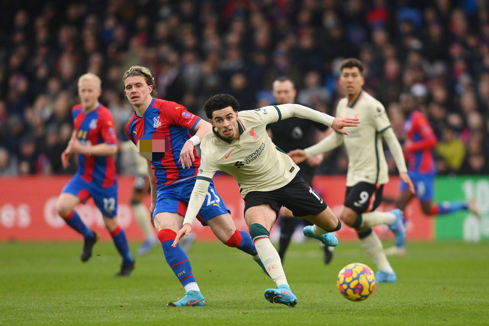 势必会为球 势必会为球